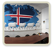 Класс норвежского языка