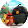 Angry Birds | в кино с 12 мая